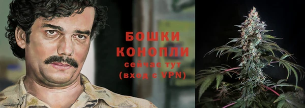 трава Магас