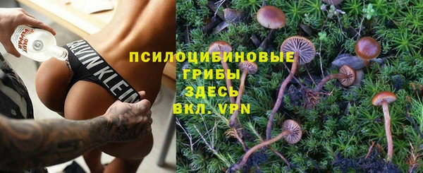 трава Магас