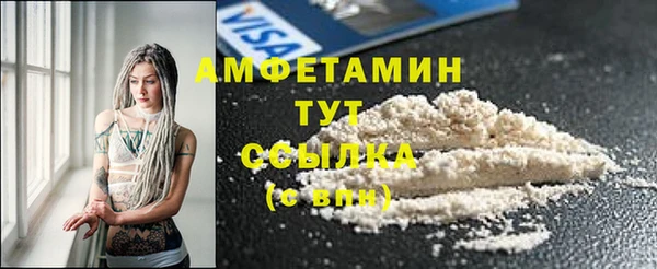 трава Магас